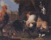 unknow artist Cock oil painting reproduction